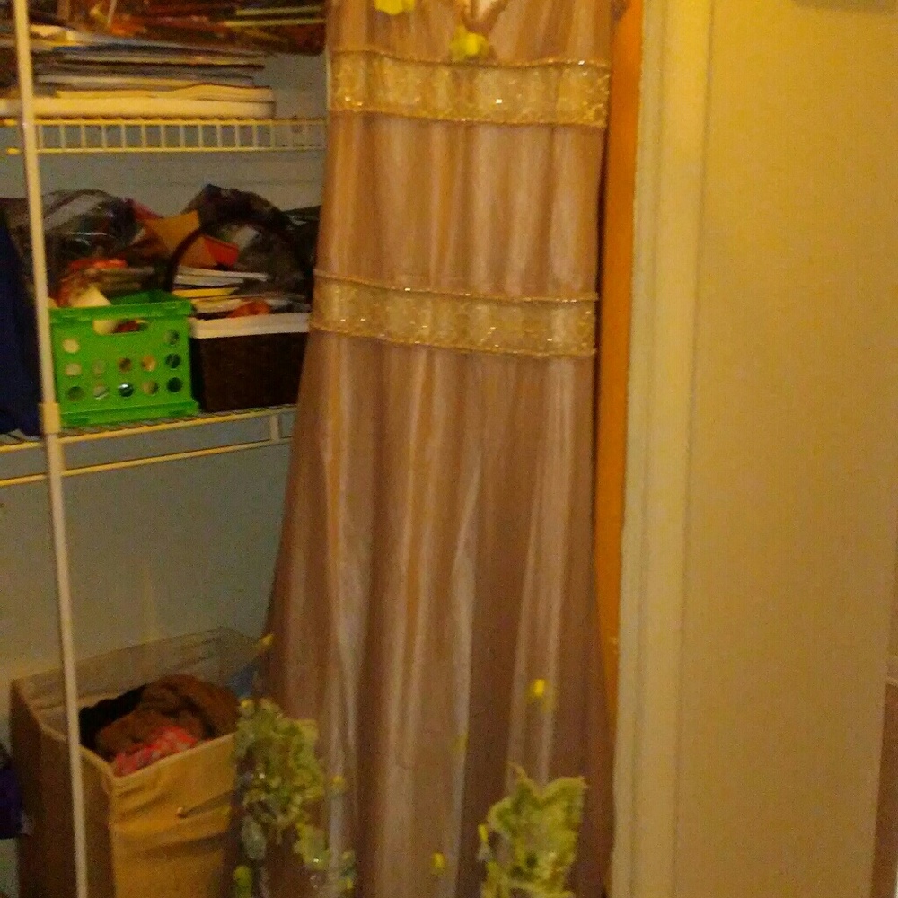Long beautiful dress